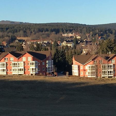Apartment Gosch An Der Skiwiese Браунлаге Екстериор снимка
